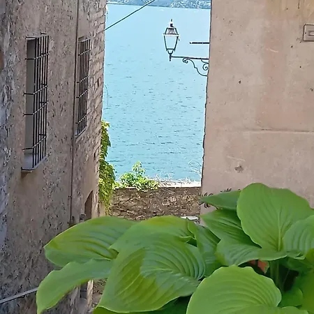 別荘 Tower House In A Medieval Village デルヴィオ